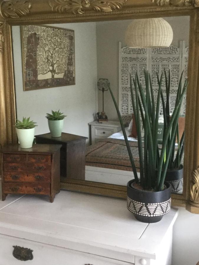 Bambu Cottage New Quay エクステリア 写真