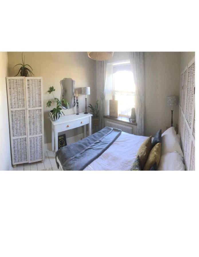 Bambu Cottage New Quay エクステリア 写真