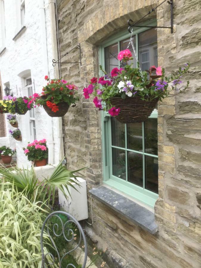 Bambu Cottage New Quay エクステリア 写真